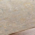 thumbnail image 6 of BoutiqueRugs Drika Traditional Area Rug - Taupe, Medium Gray, Tan - 10' x 13'11", 6 of 8