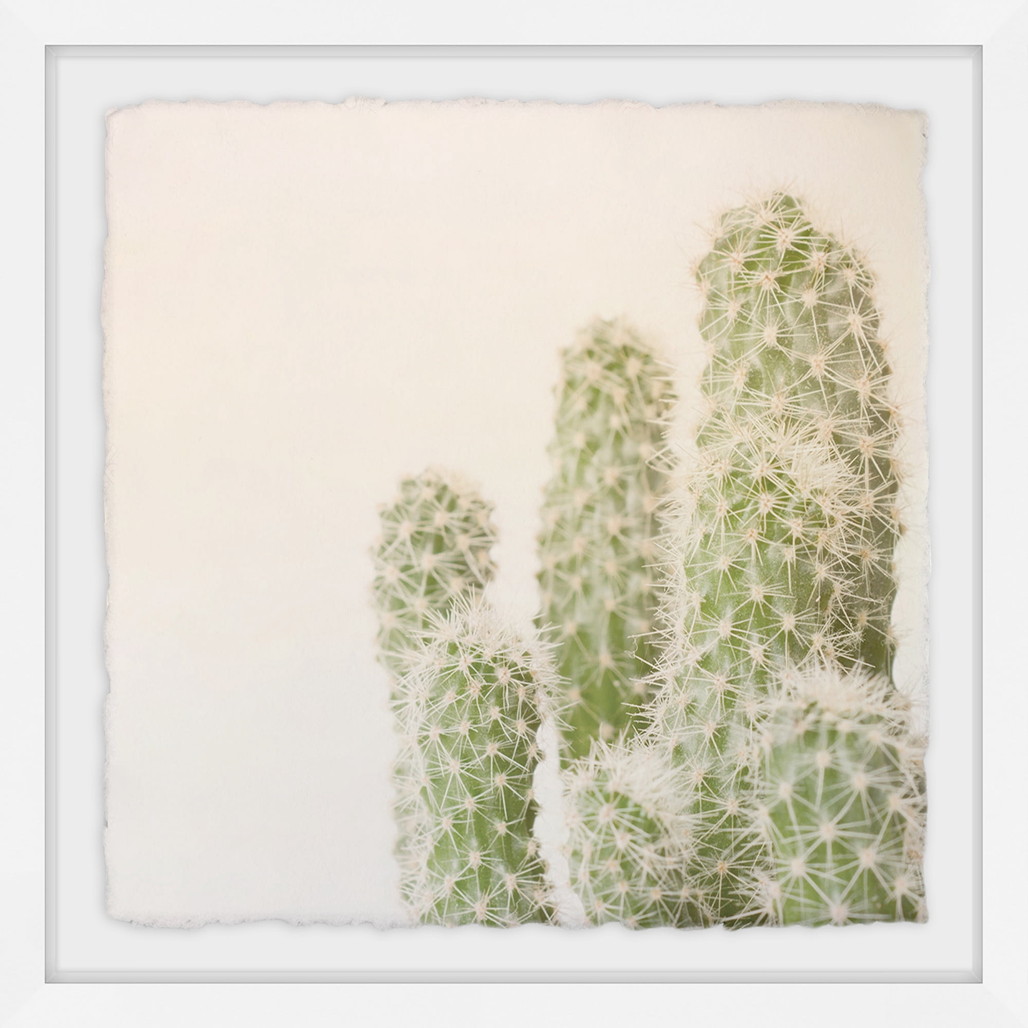 White Fuzzy Cactus Framed Painting Print