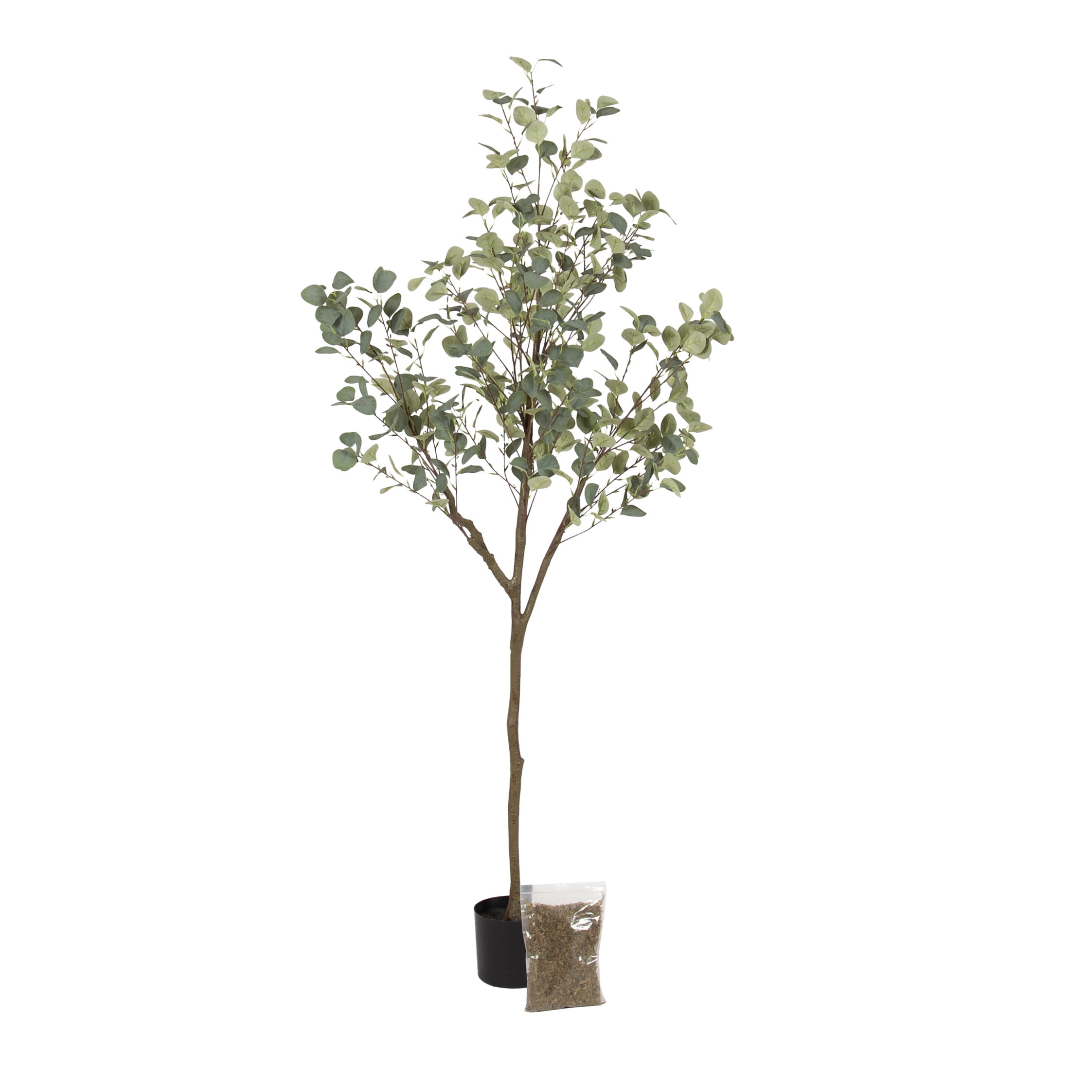 Kate and Laurel Eudora Modern Faux Eucalyptus Tree, 6 FT, Potted Artificial Tree Indoor with Realistic Foliage and Additional Decorative Moss, Fake Plant for Living Room Decor