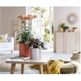 thumbnail image 2 of 6.3" Papaya Fashionista Ceramic Planter, 2 of 2