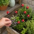 thumbnail image 5 of 10Pcs Ladybug Garden Stakes for Outdoor Patio Decoration, 11.8in Small Insect Ornaments for Lawn Pathway and Flower Bed Display, Decorative Yard Stakes Red, 5 of 6