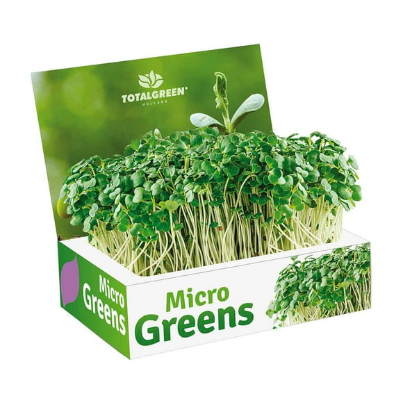 Total Green Radish Microgreens Grow Kit