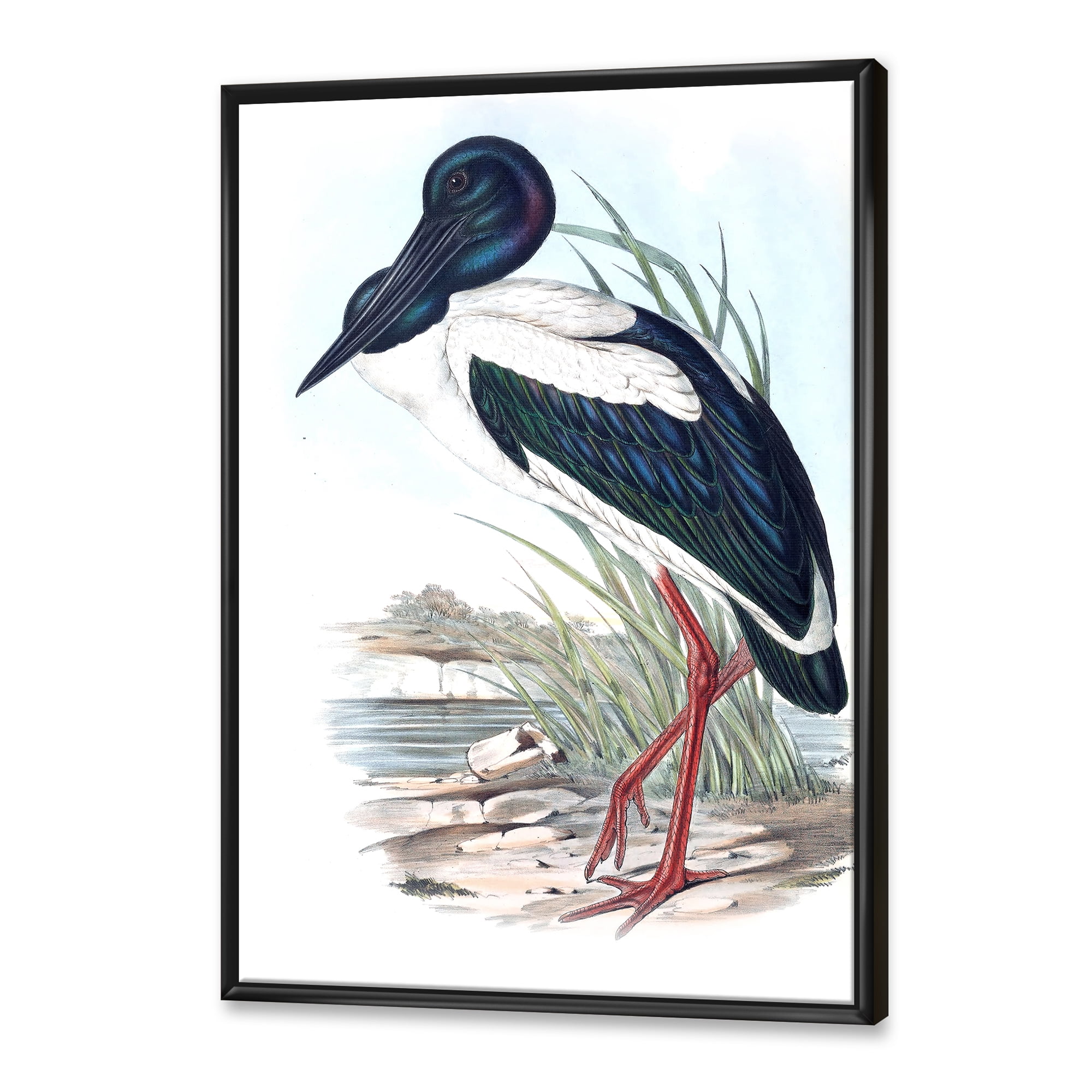 Designart 'Australian Vintage Birds I' Traditional Framed Canvas Wall Art Print