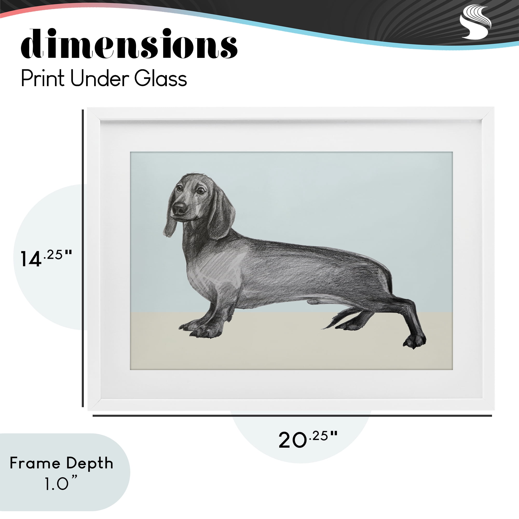 Stupell Industries Sketched Dachshund on Blue White Framed Print Under Glass, design by Violeta Vollmer