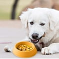 thumbnail image 5 of Gytml Plastic Dog Bowls,Food Dishes & Water Bowl For Dogs, Cats Or Other Small Animals Yellow 18cm, 5 of 6