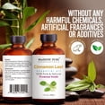 thumbnail image 5 of Majestic Pure Cinnamon Leaf Essential Oil, Premium Grade, Pure and Natural, for Aromatherapy, Massage, Topical & Household Uses, 1 fl oz, 5 of 10