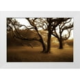 thumbnail image 3 of Alan Hausenflock 32x23 White Modern Wood Framed Wall Art Titled - Salvation Retreat II, 3 of 5