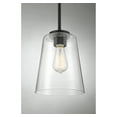 thumbnail image 5 of Adjustable Calhoun Pendant Light, 5 of 5