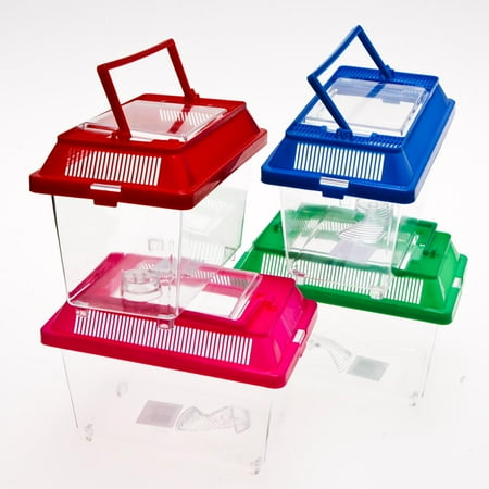 Fool A Bug Plastic Bowl - Plastic Fish/Bug Box