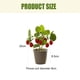 thumbnail image 2 of Plantas en macetas con frutas, adornos creativos de escritorio para el hogar, flores de simulación, plantas verdes, plantas en macetas con frutas, 2 of 5