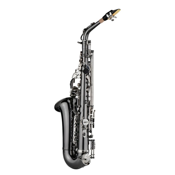 Brosse pour livres de saxophone alto, ténor et soprano, pièces et