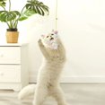 thumbnail image 4 of Simulation Caterpillar Cat Toy Cat Scratch Rope Mouse Funny Self-hey Interactive Toy Retractable Hanging Door Type Pet Supplies 5, 4 of 6