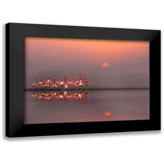 Cseresnjes, Anna 18x14 Black Modern Framed Museum Art Print Titled - purple sunset