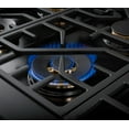 thumbnail image 5 of 48" All Gas Pro-Range, 5 of 9