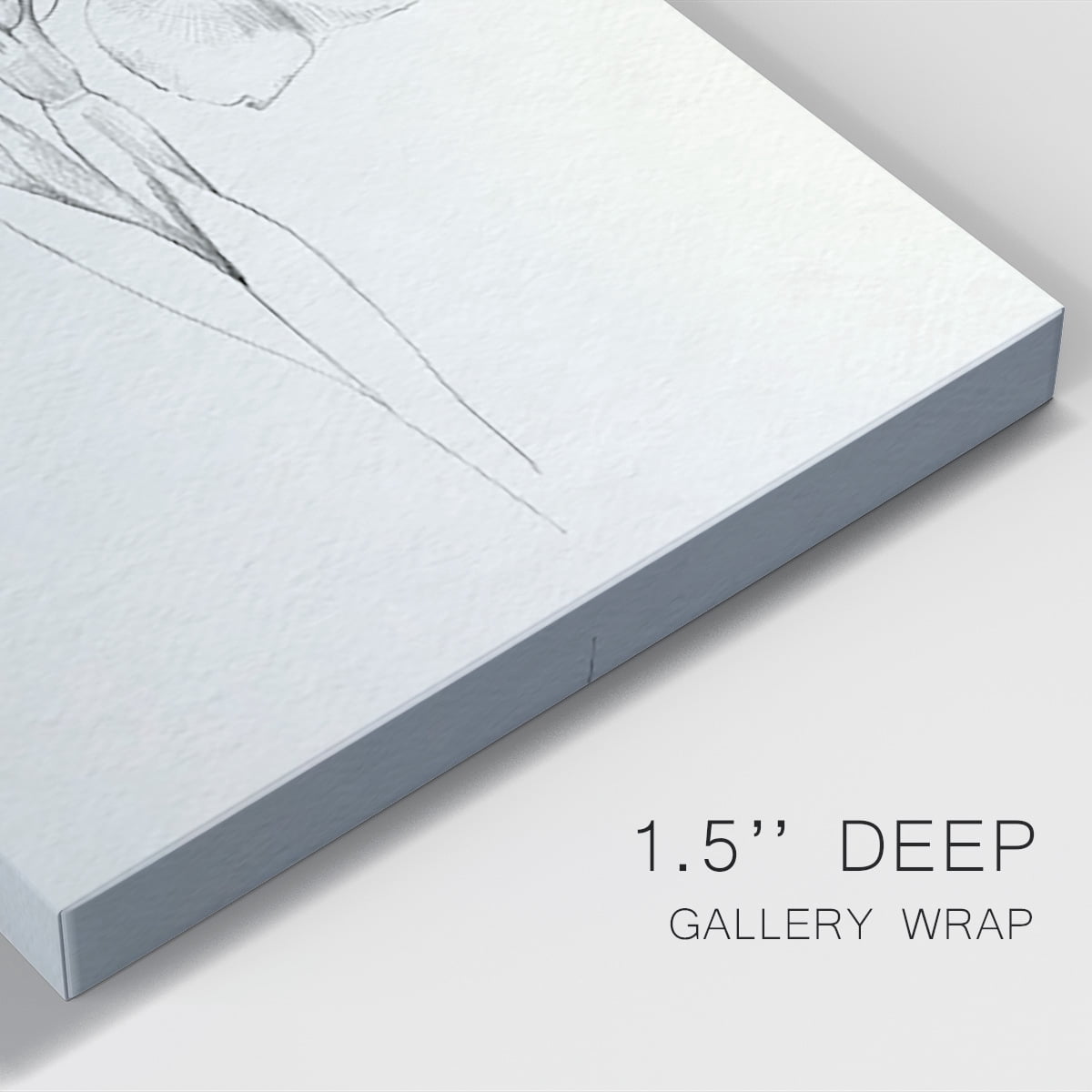 Neutral Iris Sketch I Premium Gallery Wrapped Canvas - Ready to Hang