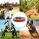 thumbnail image 5 of Collar de cuero para perros - Hecho en EE.UU. - Cuero americano de grano completo,, 5 of 5