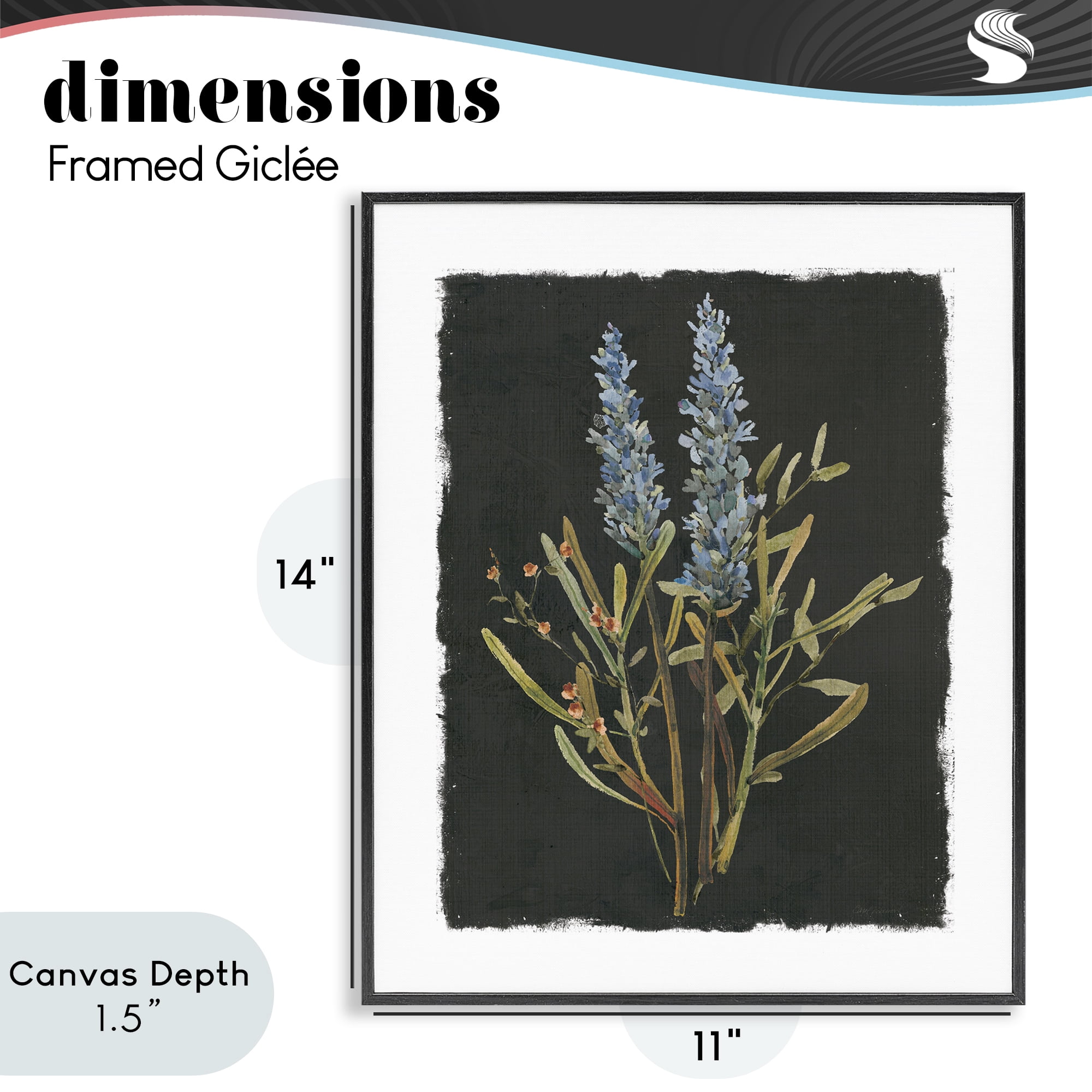 Stupell Industries Lavender Sprigs on Dark Background Black Framed Giclee Art, design by Carol Robinson