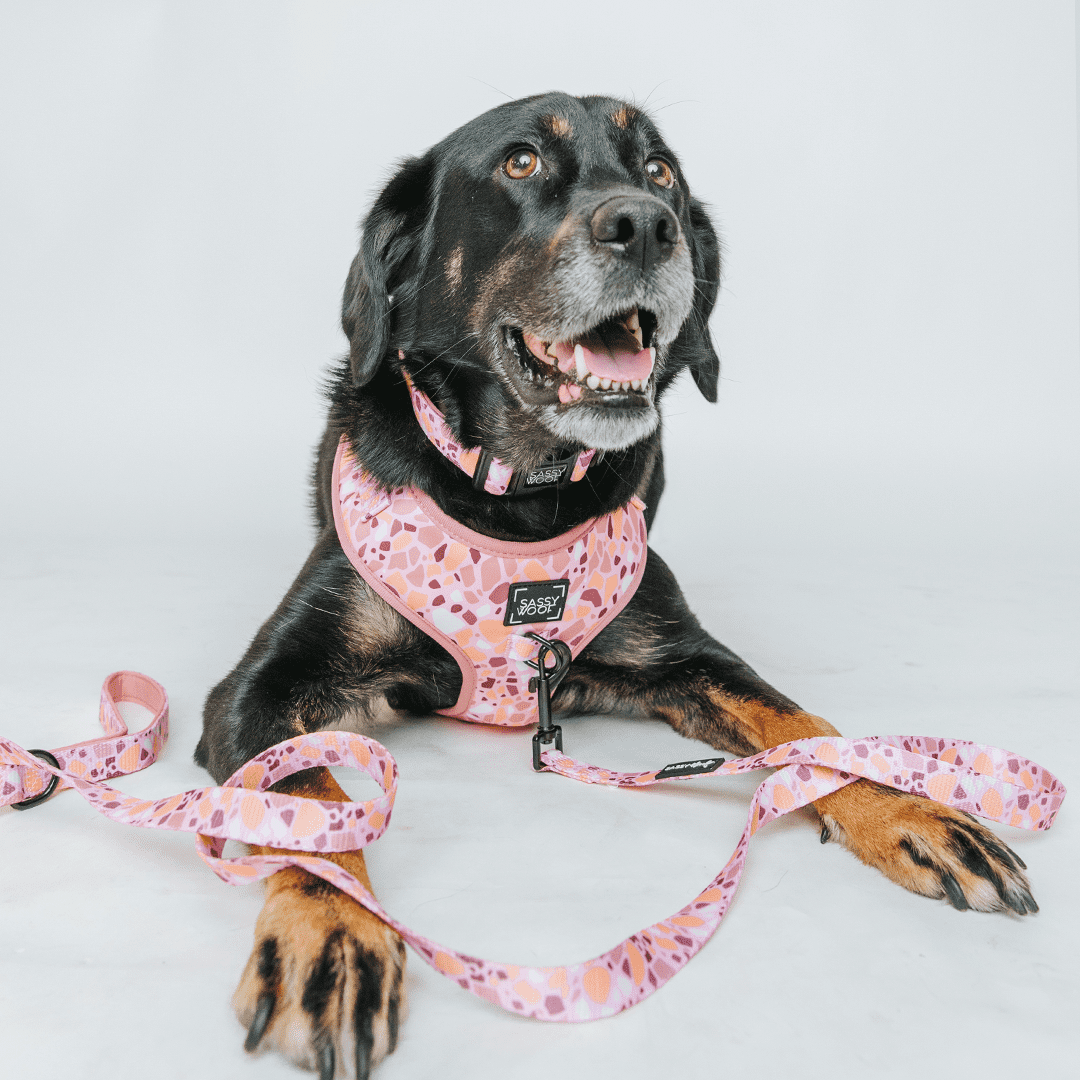 Sassy Woof Comfort Dual-Clip Adjustable Dog Harness - Pink Terrazzo, Extra Small
