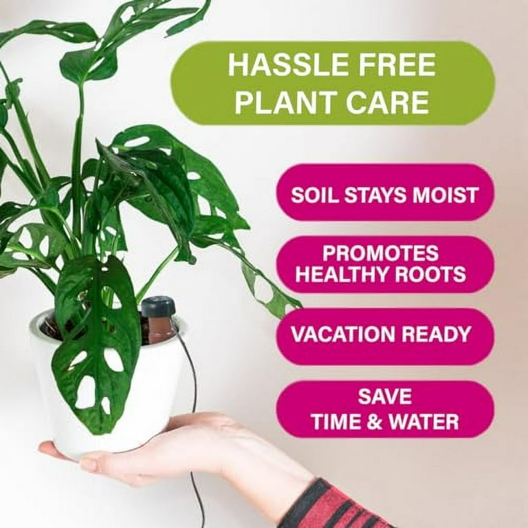 Blumat Classic Plant Watering Stakes - 3 Pack Self-Watering Spikes For  Potted Plants, Automatic Slow-Release Indoor/Outdoor