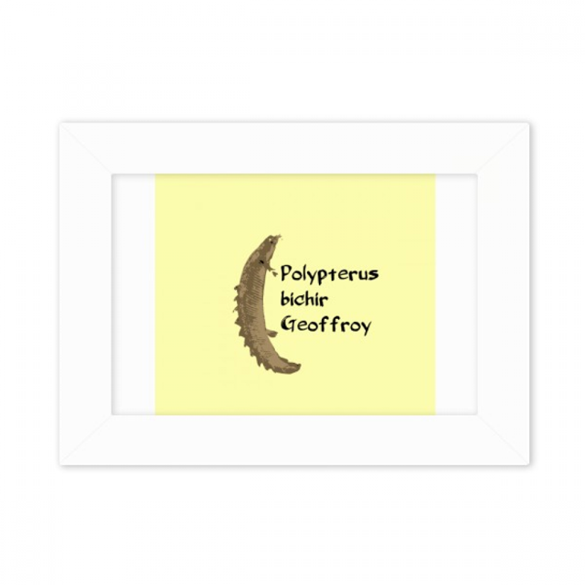 Polyfin Fish Pritive Freshwater Photo Mount Frame Picture Art Painting Desktop 5x7 inch
