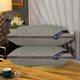 thumbnail image 4 of RKSTN Cotton pillow core Hotel-grade Pillow Core Soft And Supportive Bed Pillow Suitable For Back Side And Stomach Sleepers Made Of-friendly Fabric, 4 of 6