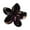A, variant on Flower Shape Hair Claw Anti-slip Teeth Decorative Hair Clip Gradient Color Flower Back Head Hair Claw Headwear