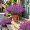 thumbnail image 5 of Spencer 8 Bundles Artificial Flowers Rose Red Flowers Lavender Bunches Plastic Faux Plants for Home Table Indoor Outdoor Decor, 5 of 8