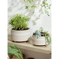 thumbnail image 3 of BEMAY 2-Pack 8+6.5 inch White Ceramic Succulent Pots with Drainage, Modern Round Decorative Flower Pots, Reactive Glaze Finish Plant Pots, 3 of 9