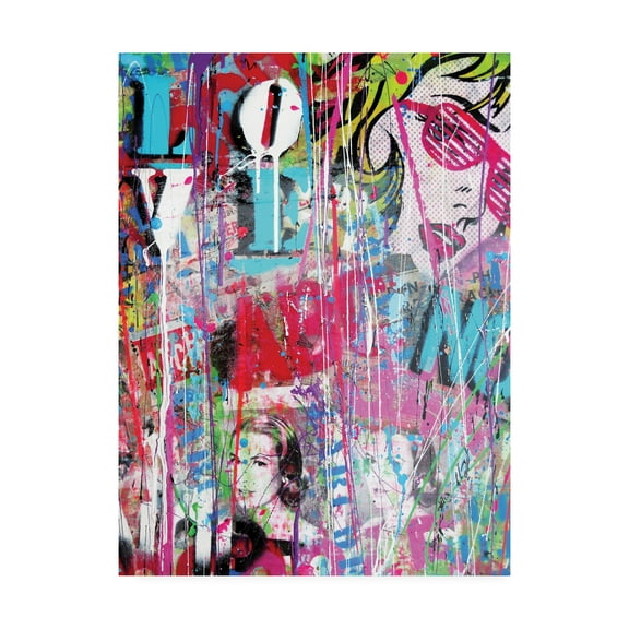 Trademark Fine Art 'Love Graffiti' Canvas Art by David Drioton