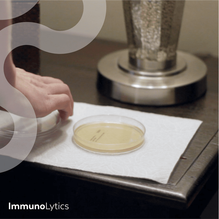 ImmunoLytics Mold Test Kit
