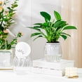 thumbnail image 2 of Hioecau Plastic Flowerpot Self-Watering Planter Weather-Resistant UV Protection Automatic Watering System Plant Pot, 2 of 8