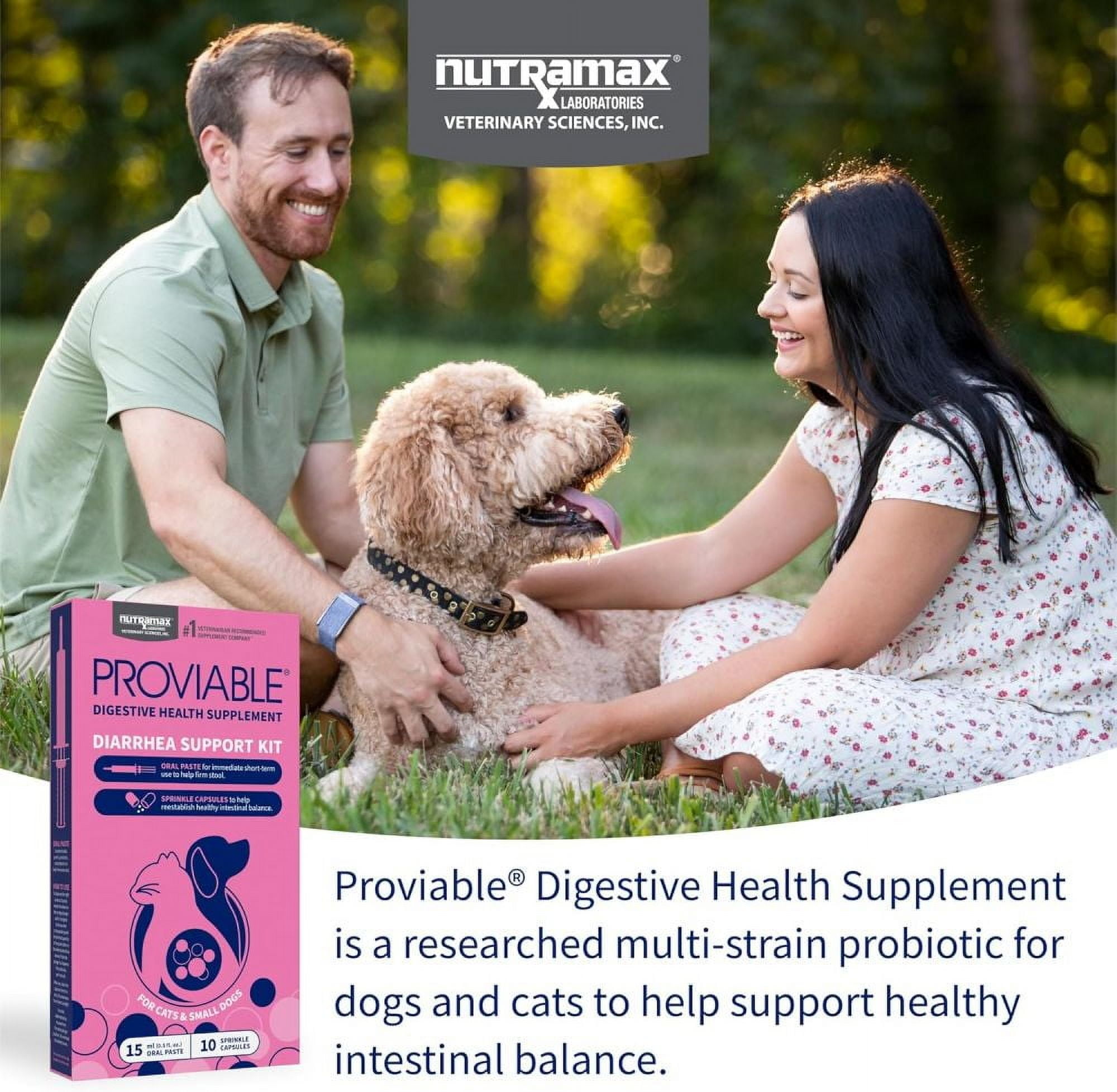 Nutramax Proviable Probiotics for Small Dogs and Cats, Diarrhea Support Kit, Digestive Health Supplement with Multiple Strains of Bacteria, Plus Prebiotics, Kaolin and Pectin, 15 ml Paste and 10 Caps