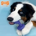 thumbnail image 4 of Nylabone Power Chew Rolling Chase N Chew Dog Toy Bacon Large (1 Count), 4 of 13