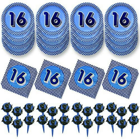 Havercamp Boys 16th Birthday Party for 16 Guests! Includes 16 ea. Plates & Napkins and 24 Party Picks with Deluxe Foil Printing & Cool Bulldog Picks.