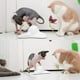 thumbnail image 5 of Juguete interactivo para gatos de interior blanco con mariposa giratoria de 360°, 5 of 5