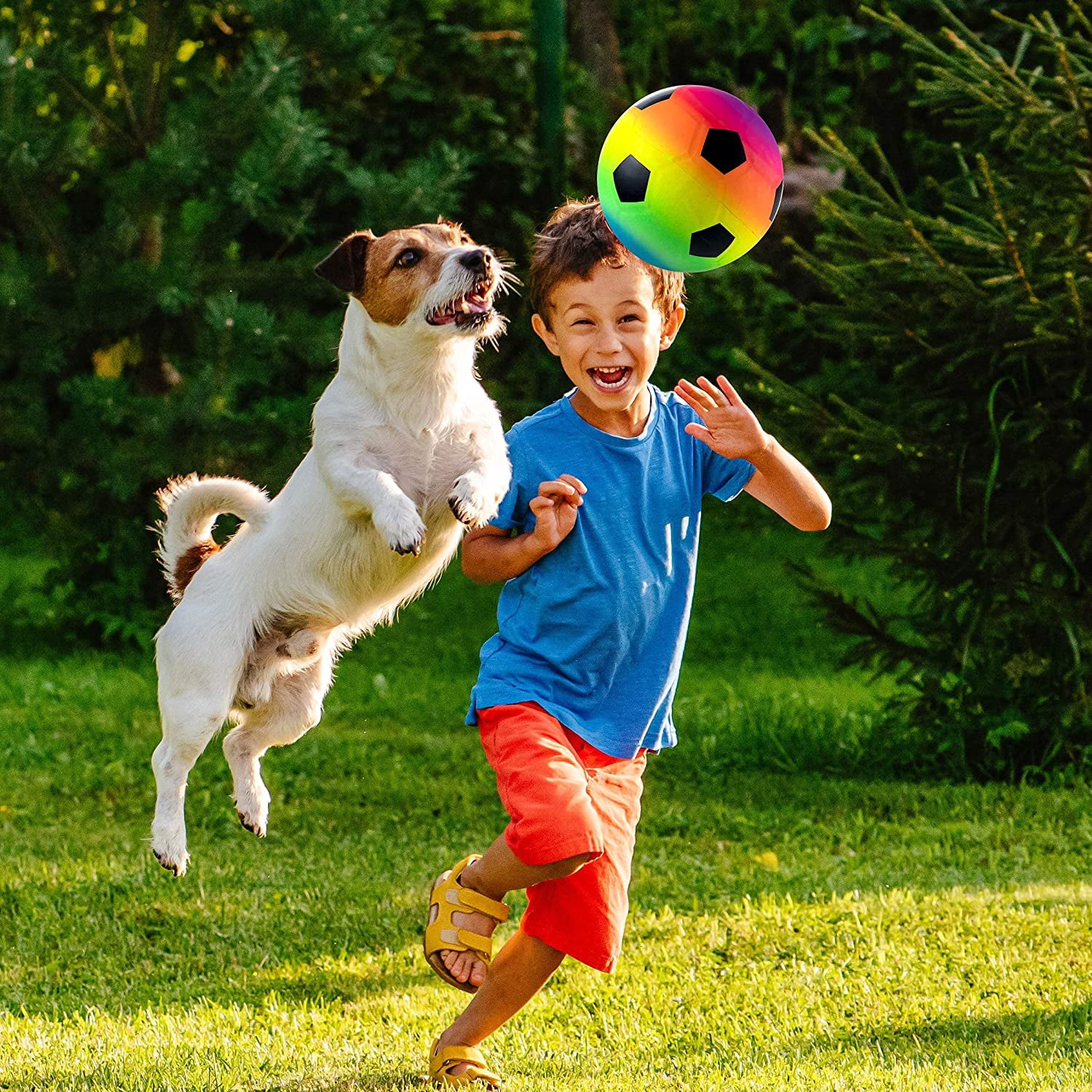 Sports Balls For Kids & Toddlers - (Pack of 4) 5-inch Sports Balls Set Includes Basketball, Small Soccer Ball, and Playground Balls, Fun Indoors & Outdoor Toys (hand Pump Included)
