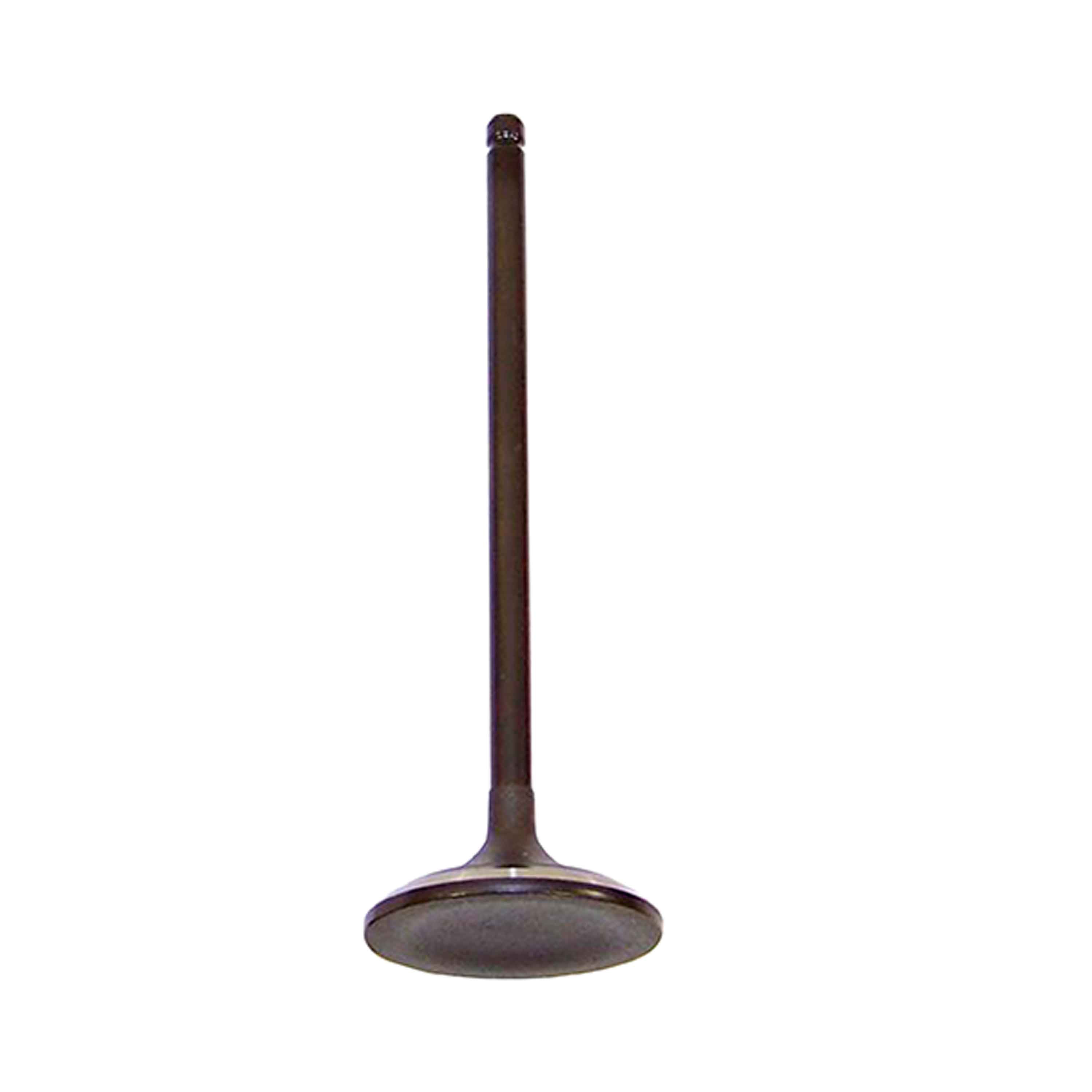 DNJ IV263A Intake Valve Fits Cars & Trucks 01-17 Acura Honda Accord Crosstour 3.2L-3.7L SOHC