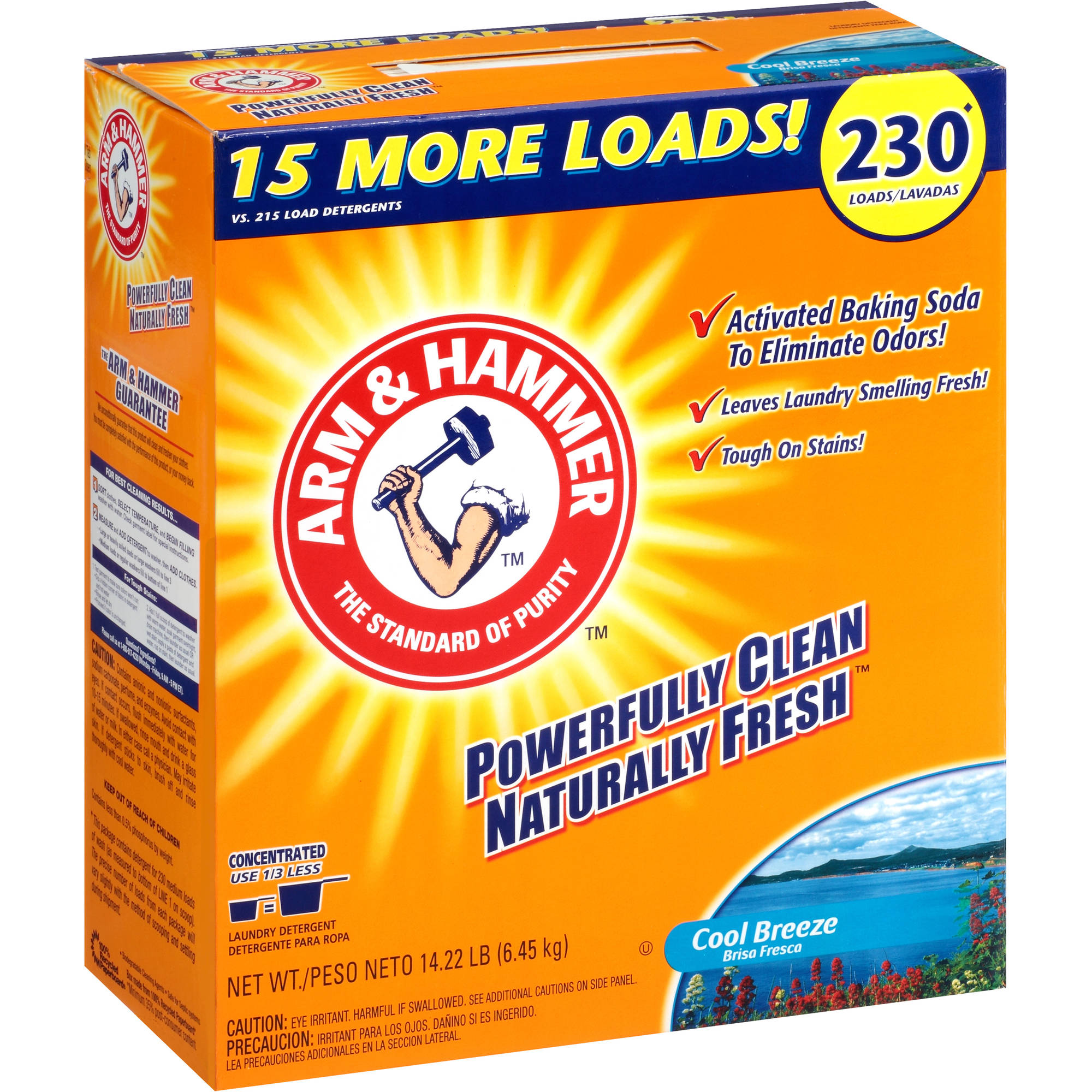 ARM & HAMMER