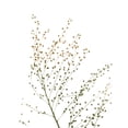 thumbnail image 3 of Koetsier, Albert 12x14 Black Modern Framed Museum Art Print Titled - Urban And Delicate, 3 of 5