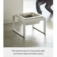 thumbnail image 5 of Yamazaki Home  Single Pet Food Bowl - Two Styles, Steel and Ceramic, Tall, 1.25 - L 6.1 x W 5.91 x H  3.94 inches White, 5 of 7