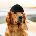 thumbnail image 3 of Casco para Mascotas, Casco para Perros, Protector de Cabeza Portátil, Casco Protector para Perros, Equitación Al Aire Libre, Gorro para Cachorros para M, 3 of 4