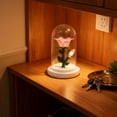thumbnail image 4 of Rourlinge Birthday Flower Gifts for Mom,Tulips Night Light Small Glass Flower Lamp with Base for Home Decor Romantic Unique Christmas Gift for Women Girlfriend Sister Grandma Wife Her, 4 of 6