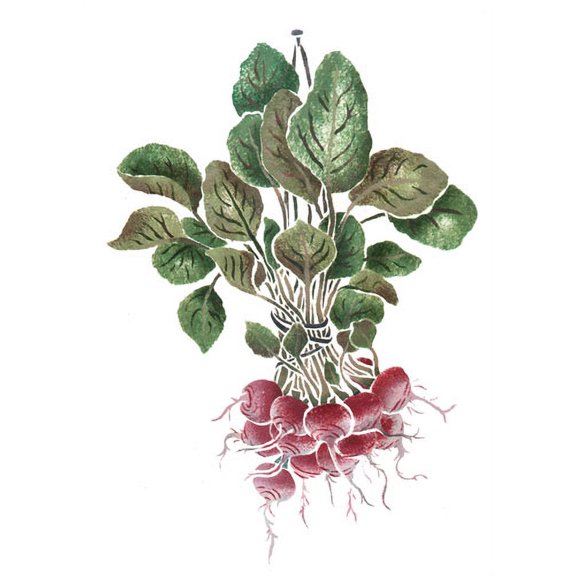 Hanging Radishes Wall Stencil - DEE200 by DeeSigns