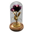 thumbnail image 2 of TIMIFIS Night Light Humidifier LED Color Gold Rose Flower Hollow Log Bottom Glass Cover Simulation Valentine's Day Gift Decoration Ornaments Kitchen Gadgets, 2 of 2