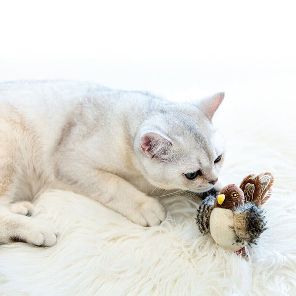 4Pcs Bird Cat Toy Simulated Chirping Interactive Cat Helps Cat Exercise