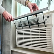 LG 10,000 BTU 115V Window-Mounted Air Conditioner with Remote Control, LW1016ER