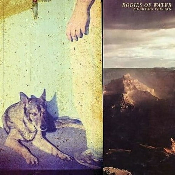 Bodies of Water - A Certain Feeling - Music & Performance - Vinyl