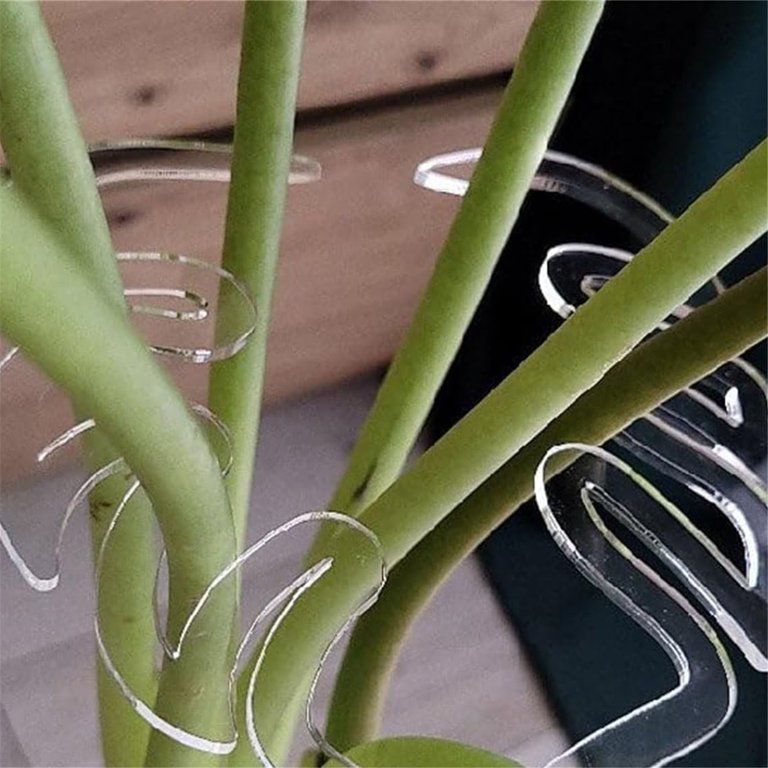 BNNG Leaf Plant Support | Monstera Grapple, Monstera Leaf Plant Support,  Turtle Shell Bamboo Clamp Set, Unique and Aesthetic Monstera Plant Support,  Keeps Plants Tame and Growing Vertical - Walmart.com