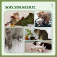 thumbnail image 4 of 47" Tall Cat Tree Tower with Condo, Ladder, Scratching Posts and Hanging Ball, Green, 4 of 5