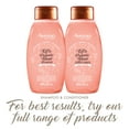 thumbnail image 4 of Aveeno Kefir Probiotic Blend Sulfate-Free Shampoo for Restoring Balance to Scalp, Color-Safe Shampoo with Nourishing Oat, Paraben- & Dye-Free, 12 fl. oz, 4 of 7